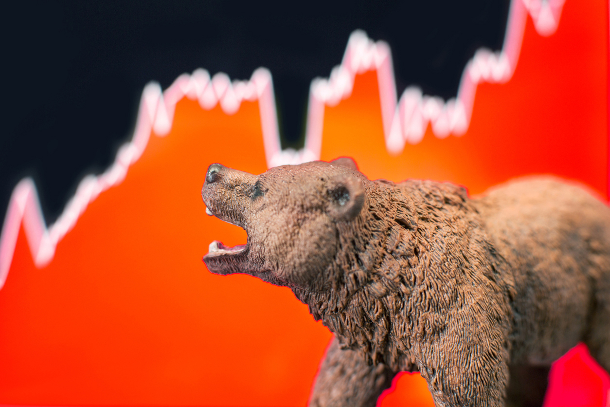 Ayı Piyasası-Bear Market