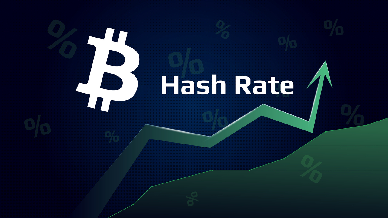 Hash Oranı - Hash Rate