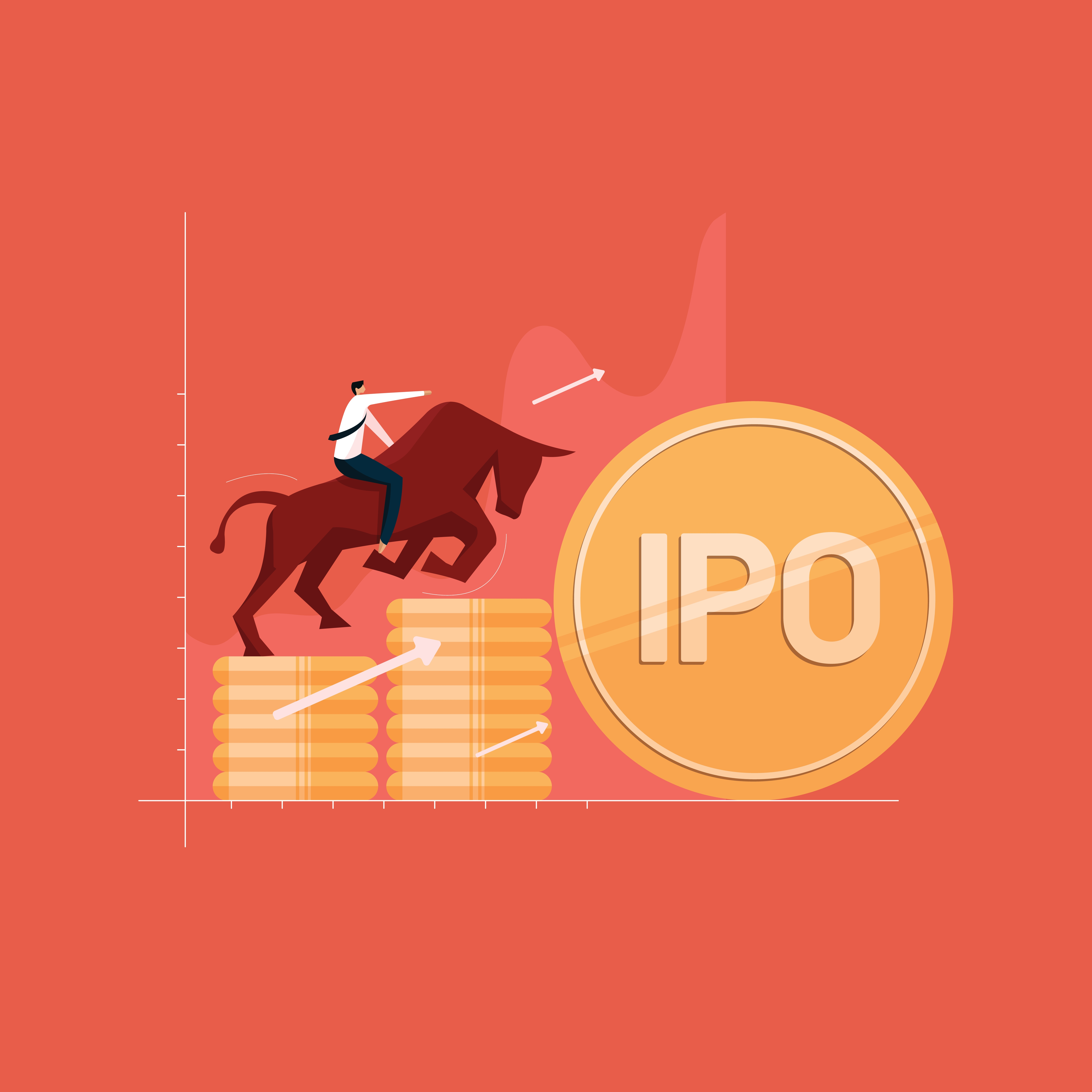 İnitial Public Offering (Halka Arz) IPO Nedir?