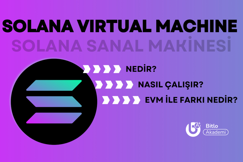 Solana Virtual Machine (SVM) Nedir?