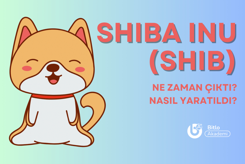 Shiba Inu Ne Zaman Çıktı? SHIB Token Nasıl Yaratıldı?