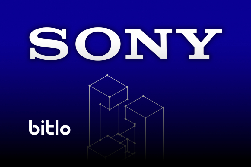 Sony'nin Blokzinciri Resmen Yayınlandı!