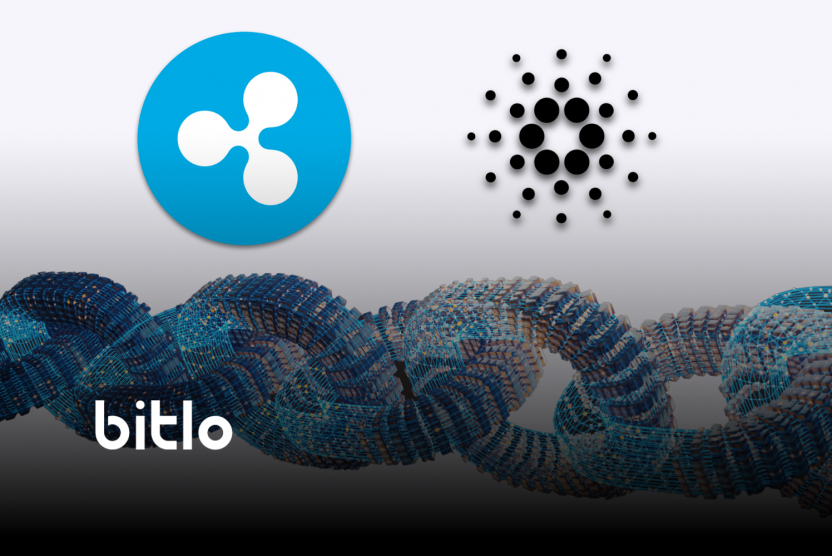 Ripple'ın Stablecoin'i RLUSD, Cardano Blokzincirine Gelebilir!