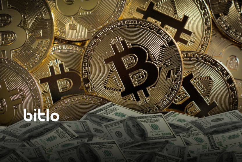 26 Binden Fazla Bitcoin Cüzdanı, Milyoner Oldu!