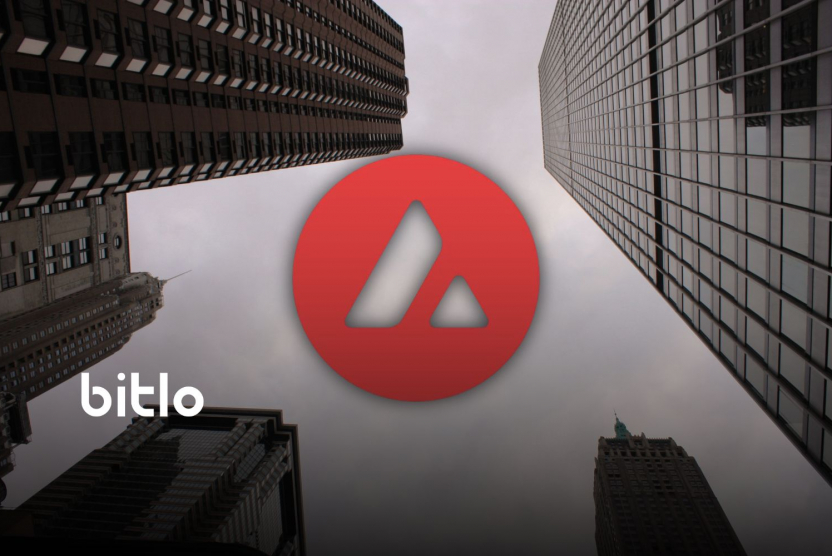 Nasdaq Şirketi, AVAX için Adını Değiştiriyor!