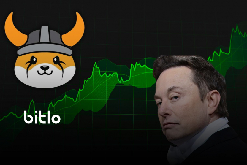 Elon Musk'tan Floki Paylaşımı