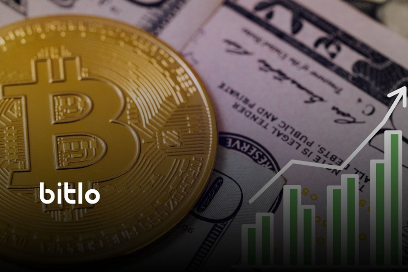 Bitcoin ETF'lerine Tek Günde 753 Milyon Dolar Girdi!