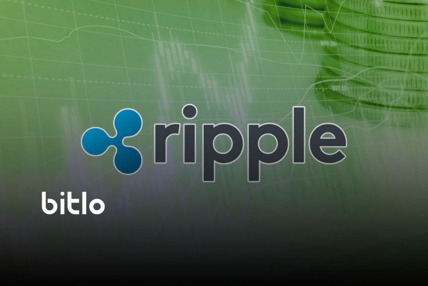Ripple CEO'su Kriptoda Yeni Zirveler Bekliyor