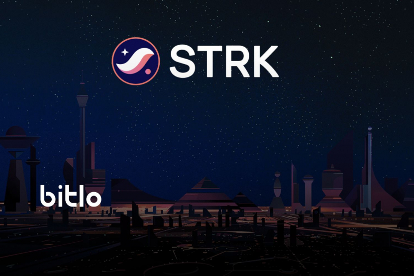Starknet, ERC20 Tokenlerine Yönelik Gizlilik Katmanını Yayınladı!