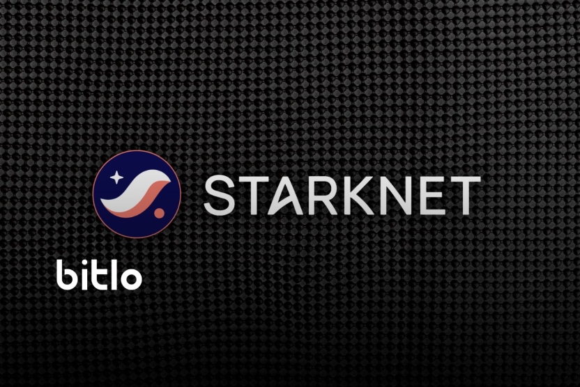 Starknet Katman-1 mi Olacak? Oylama Başladı!